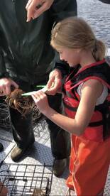 Ketchikan Giant Halibut And Salmon