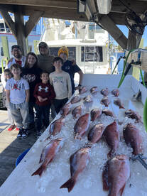 Orange Beach Report Photo 2