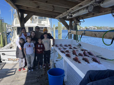Orange Beach Report Photo 1