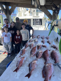 Riptide Snapper fishing 