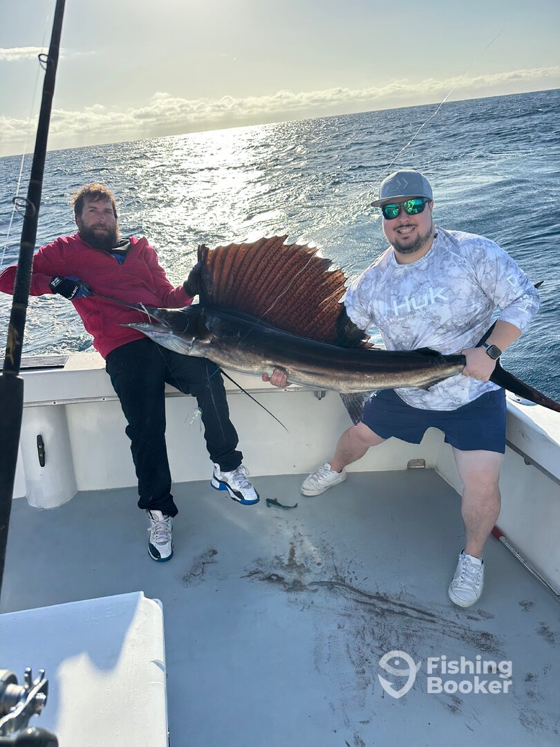 Dania Beach Report Photo 0