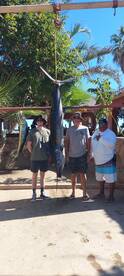 San Jose del Cabo Report Photo 1