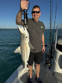 Little bit of everything! 