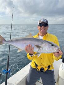 Amberjack Catch