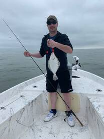 Sheephead,redfish and pomps