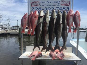 Opening Day of Snapper Season