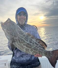 Nice grouper action