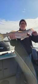 Stripers on the river are hit and miss 