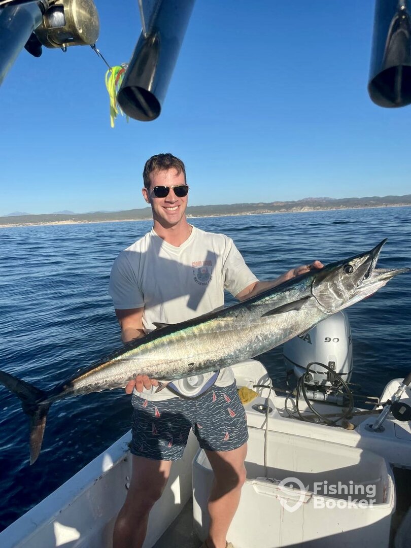 San Jose del Cabo Report Photo 0