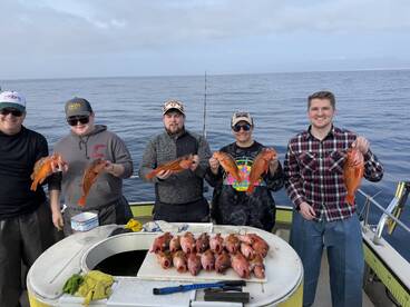 Oceanside Report Photo 1