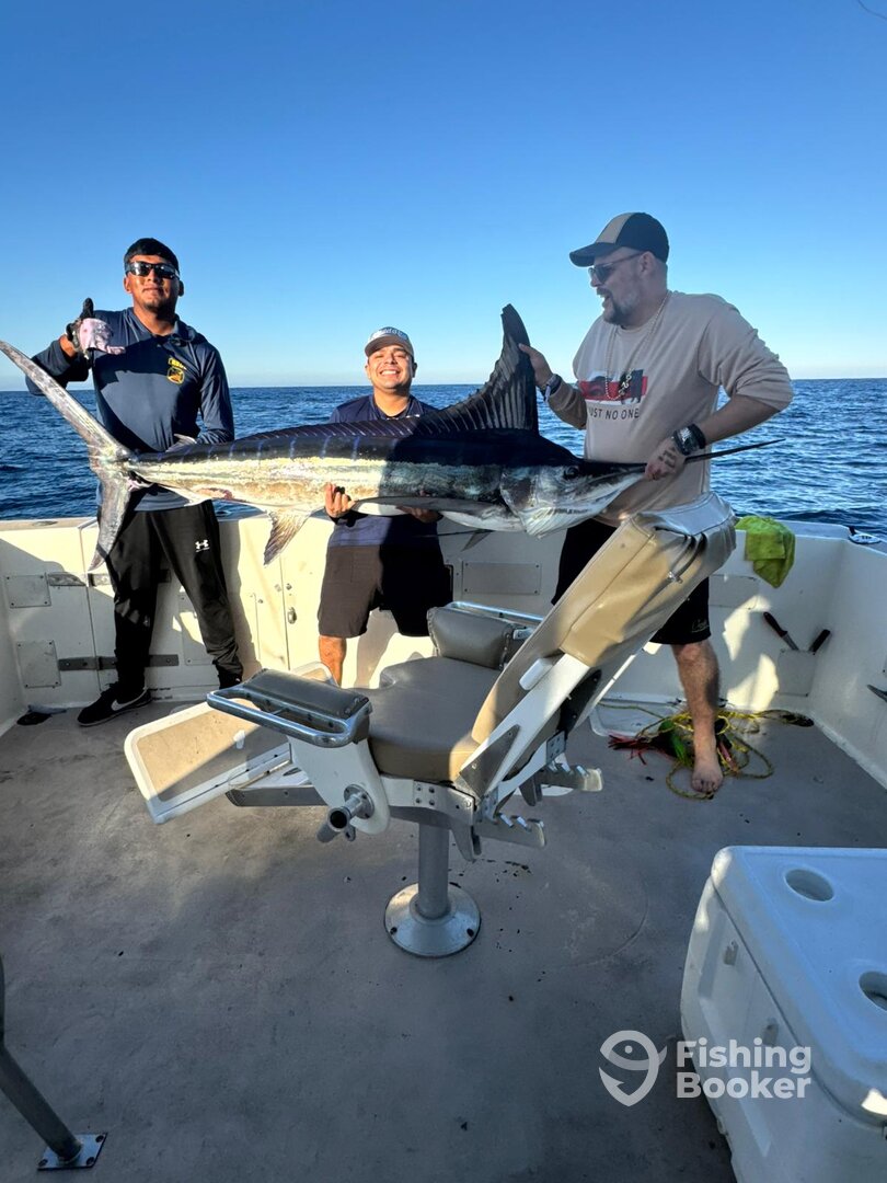 Cabo San Lucas Report Photo 0