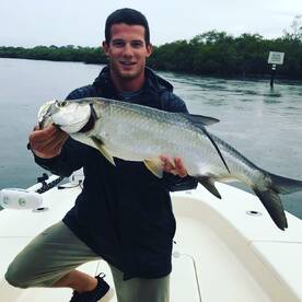 Sarasota Report Photo 1