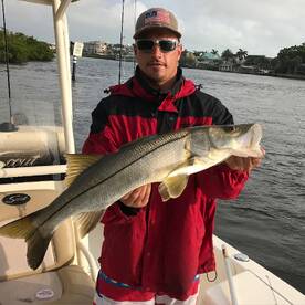 Trout frenzy 