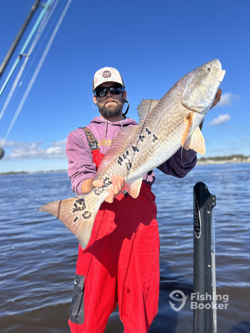 Jacksonville Report Photo 0