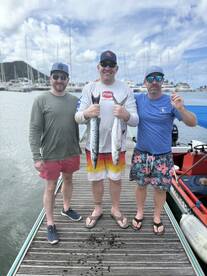 Saint Lucia Report Photo 2