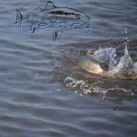St. Augustine Report Photo 1