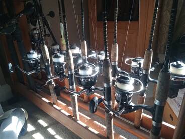 Chincoteague Report Photo 2