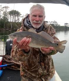 Chincoteague Report Photo 1