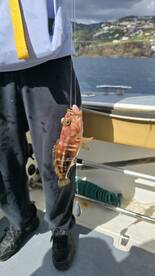 Excelente dia de Pesca