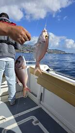 Machico Report Photo 2