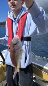Machico Report Photo 1