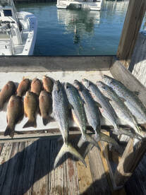 Islamorada Report Photo 1