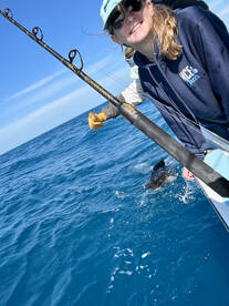 Key West Report Photo 1