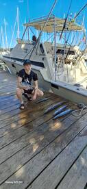 Jolly Harbour Report Photo 2