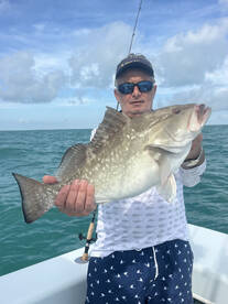 Big groupers 