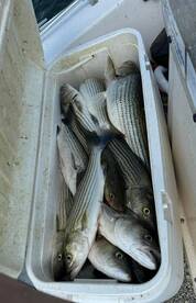 Redwater Report Photo 1