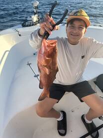 Red grouper 
