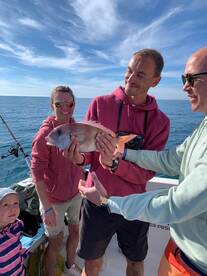 Andalusia Report Photo 1