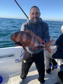 Chiclana de la Frontera Report Photo 4