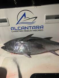 Chiclana de la Frontera Report Photo 2