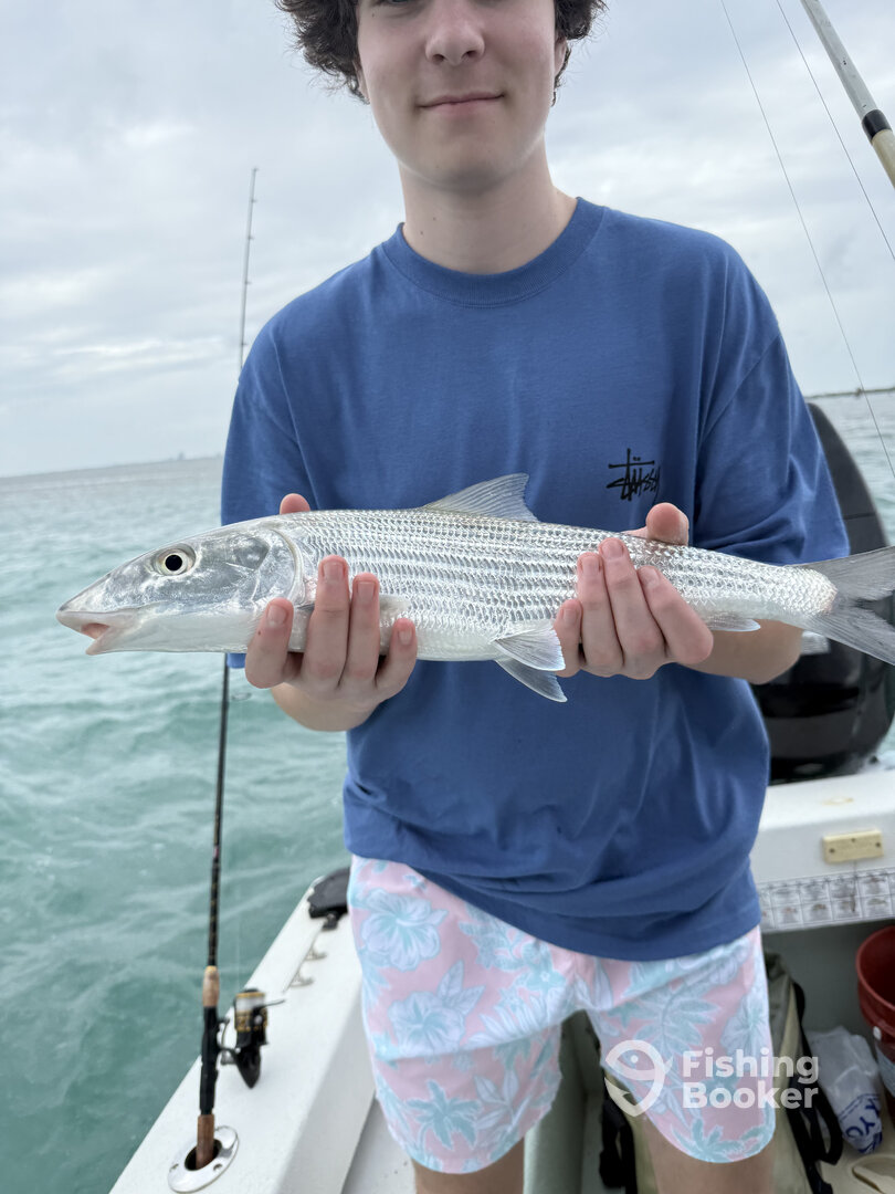 Miami Report Photo 0