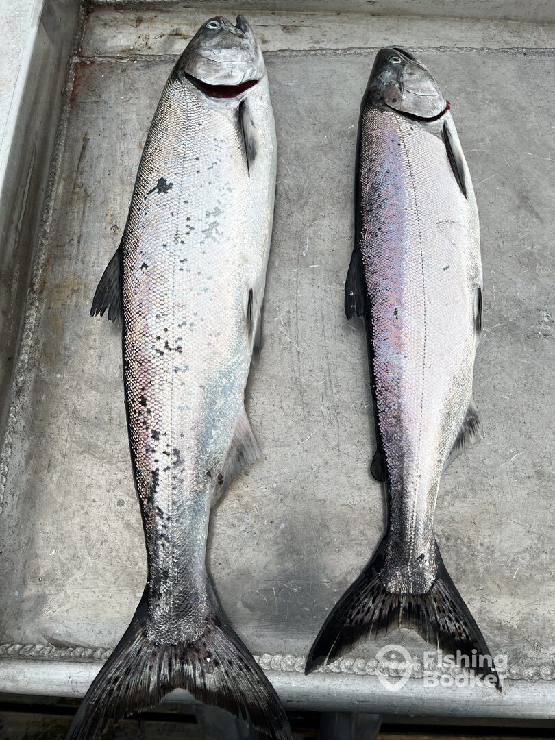 Sooke Report Photo 0