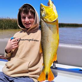 Excellent Golden Dorado season

