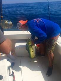 Ocean City Report Photo 2