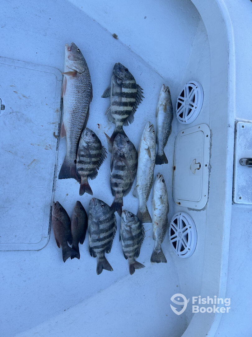Fort Myers Report Photo 0