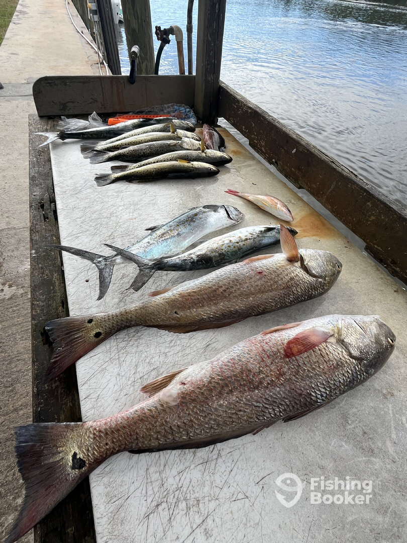 Everglades City Report Photo 0