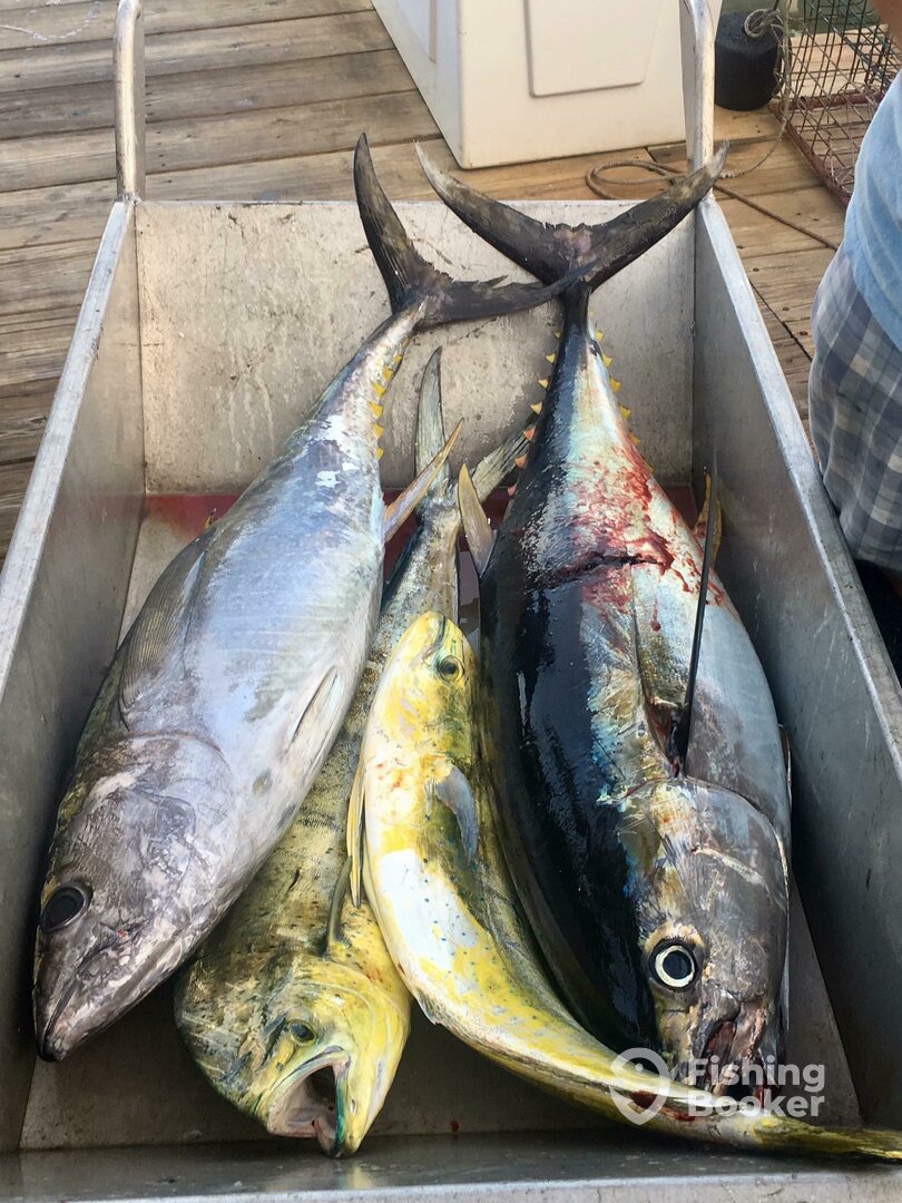Ocean City Report Photo 0
