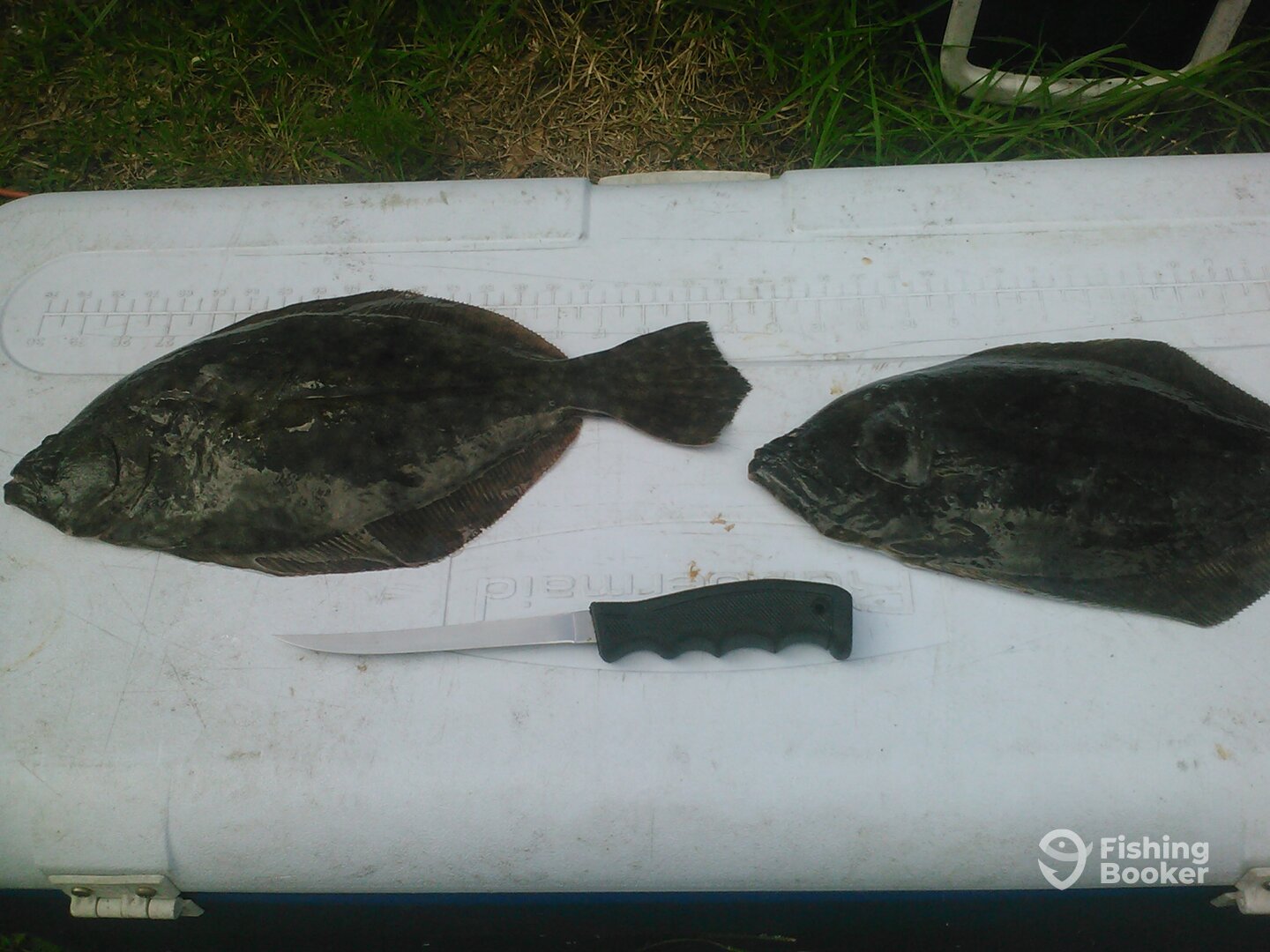 Jacksonville Report Photo 0