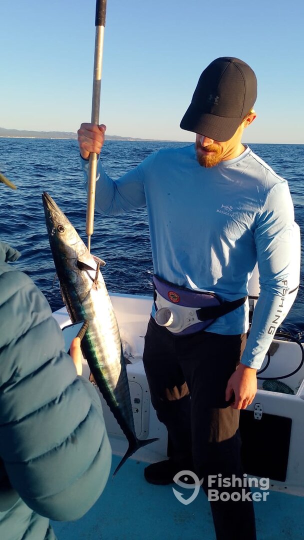 San Jose del Cabo Report Photo 0