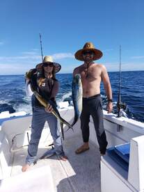 Mahi mahi 