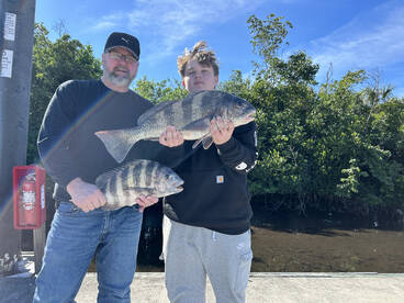 Punta Gorda Report Photo 2