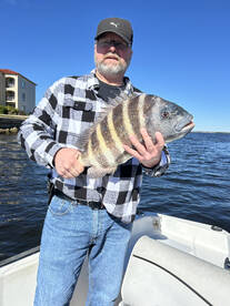 Punta Gorda Report Photo 1
