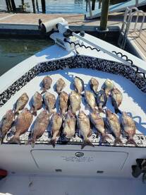 Abother great day 100 fish day kept enou
