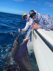 Sailfish kinda day 