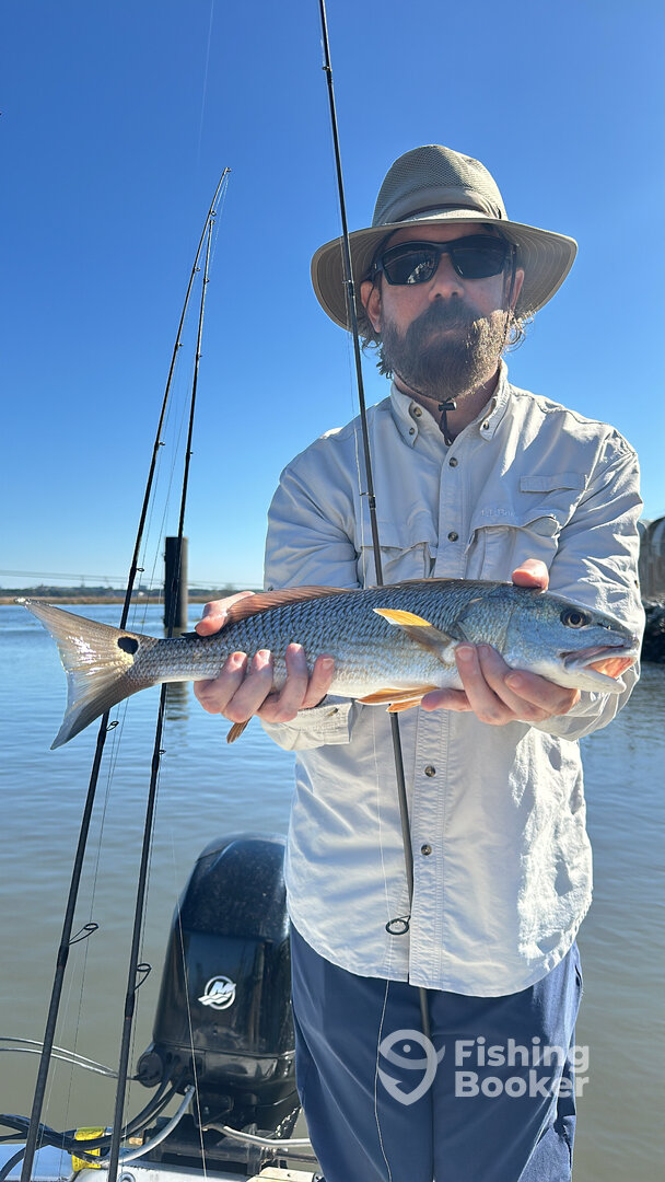 Mount Pleasant Report Photo 0