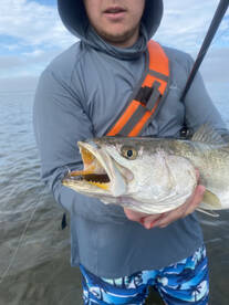 Palmetto Report Photo 1